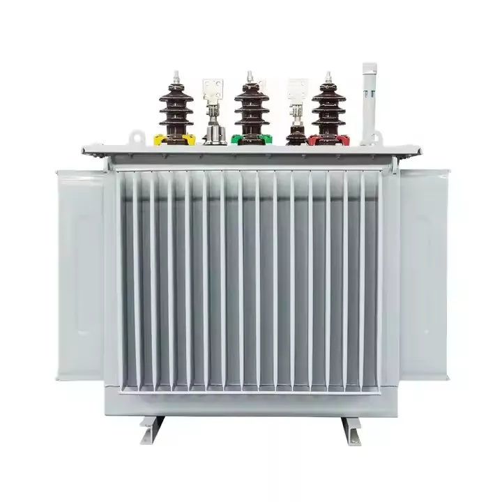 Olje-utmerket transformator: The Silent Guardian of the Power System